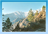 Overview - Dharamshala